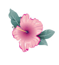 Pink hibiscus - Tote Bag Design