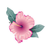 Pink hibiscus - Womens Crop Tee Design