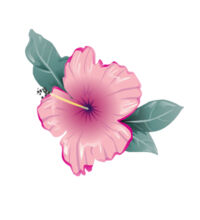 Pink hibiscus - Womens Mali Tee Design