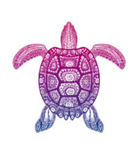 Purple Turtle - Womens Curve Longsleeve Tee Design