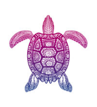 Purple Turtle - Womens Crop Tee Design