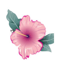 Pink Hibiscus - Mug Design