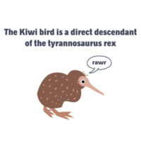Kiwi Tyrannosarus Rex - Kids Longsleeve Tee Design