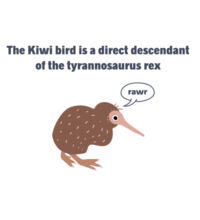 Kiwi Tyrannosarus Rex - Kids Wee Tee Design