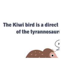 Kiwi Tyrannosarus Rex - Baby Bib Design