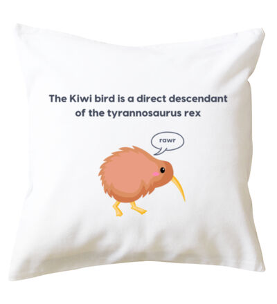 Kiwi Tyrannosarus Rex - Cushion cover Thumbnail