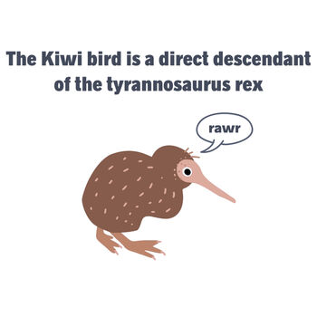 Kiwi Tyrannosaurus Rex Thumbnail